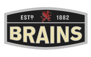 Brains logo