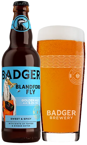 bottle and pint glass filled with badgers blandford fly golden ale on plain background