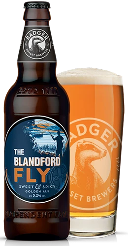 bottle and pint glass filled with badgers blandford fly golden ale on plain background