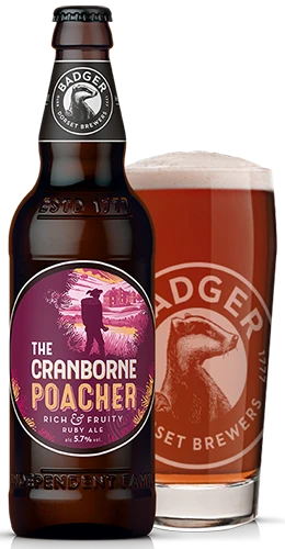 bottle and pint glass filled with badgers cranborne poacher ruby ale on plain background
