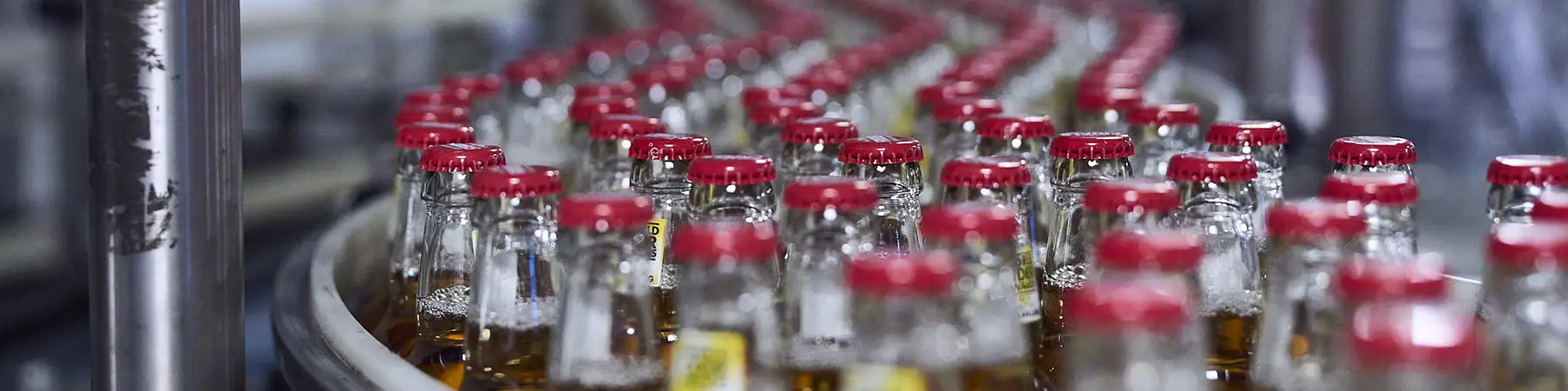 close up of production line of beers bottles on conveyor